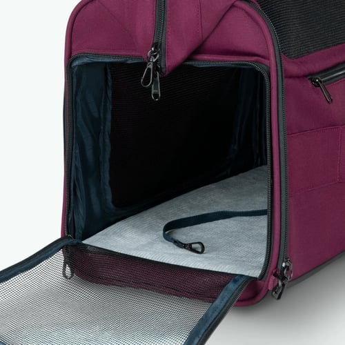 Sac de transport Adventurer pour Animaux Nice - Cabaia -  - Cabaia